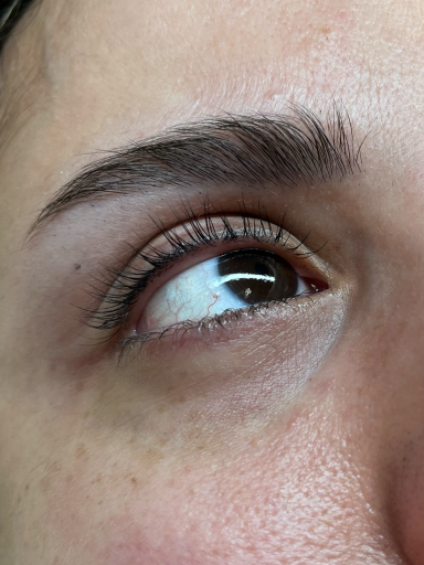 Referenzbild Referenzbild Frauenauge nach Wimpernliftig, Lashlifting.