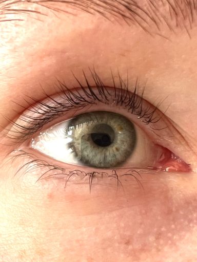 Referenzbild Testimonial-Foto Frauenauge nach Wimpern.- Lashlifting